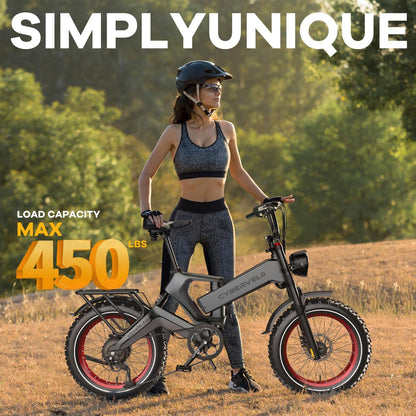 Compact Electric Bike